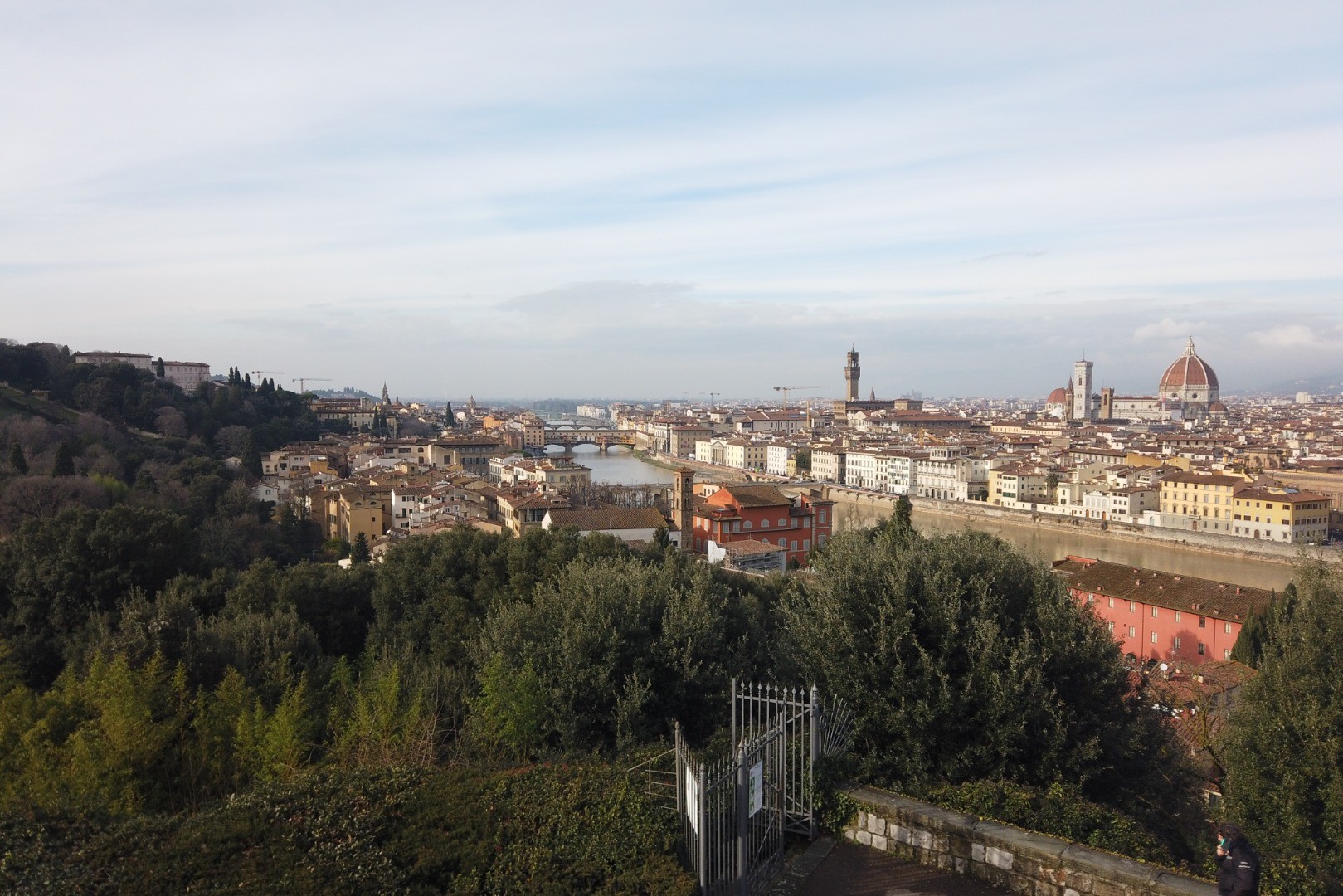 From Florence to Siena by road bike