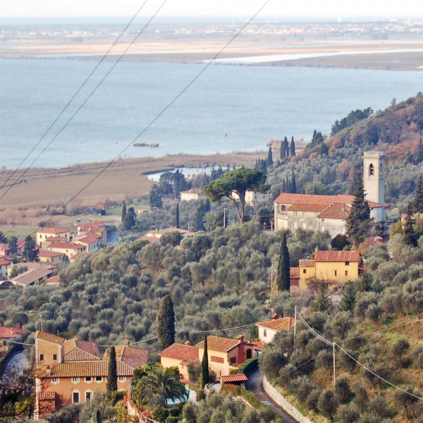 Massaciuccoli romana