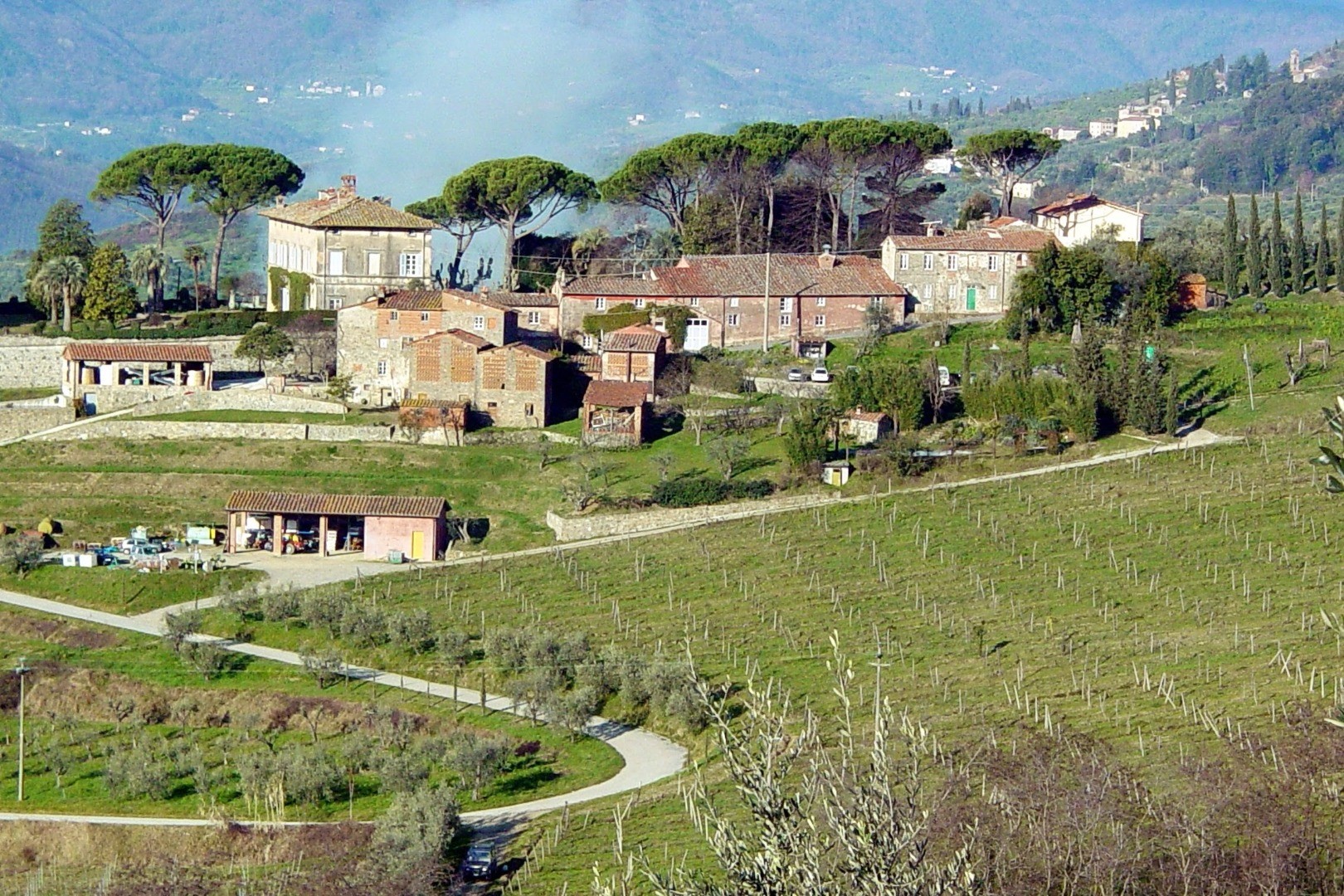 Le Ville Lucchesi e Montecarlo